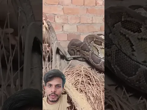 #wgitachi