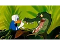 Download Lagu DONALD DUCK! Alle volledige tekenfilmafleveringen! Nieuwe Engelse compilatie 2015!
