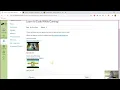 Ozaria and CodeCombat
