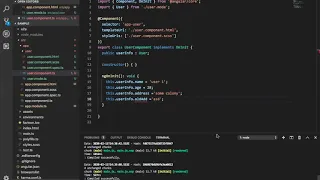 Angular Two Way data binding Models Custom Data types