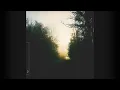 Marsh - Floodlights