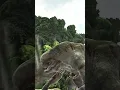 Download Lagu Can🔥D.REX🔥being META ?? - Jurassic world alive #shortvideo#jurassicworldrebirth