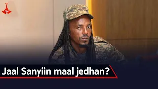 Jaal Sanyiin Maal Jedhan Etv Ebc Etv Afaan Oromoo Oduu Etv Afaan Oromoo Ethiopia 