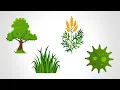 Loyola Medicine Allergy Count