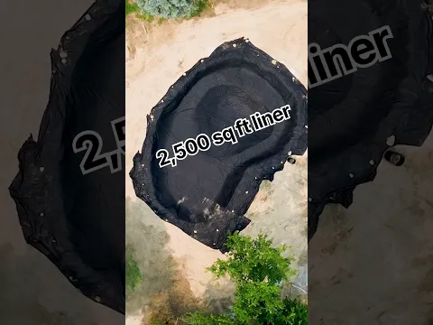 massive pond build