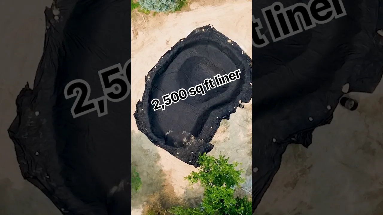 massive pond build