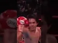 Download Lagu True Warriors of Boxing world