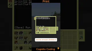Minecraft Turtle 6 Print Function Breakdown