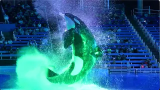 Shamu Rocks: Moonlight Mayhem (NEW Show) - SeaWorld San Antonio - September 12, 2026
