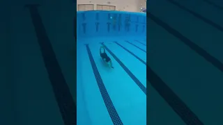 Shorts السباحة تحت الماء 