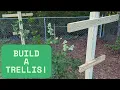 Download Lagu Thornless Blackberry Trellis Build