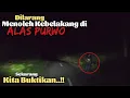 Lagu PEMBUKTIAN, Benarkah di ALAS PURWO dilarang Menoleh ke Belakang? Perjalanan malam hari di ALAS PURWO