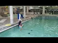 Germantown indoor pool Kenneth and Sophia