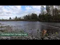 Armitage Park Campground Walk-through