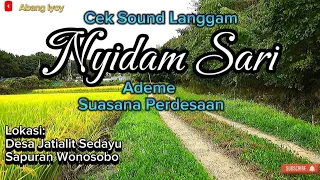 Download Instrumen Langgam NYIDAM SARI #campursari #langgam #ceksoundlanggam #abangiyoy MP3