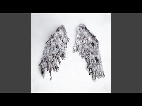 Video Thumbnail: Bezdan