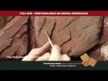Masonry Surface Stone Repair - Trailer