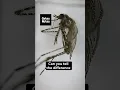 The newest weapon in the fight against mosquitoes computer vision