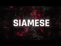 Siamese - Enough Ain't Enough feat. Rory Rodriguez of Dayseeker (Official Video)