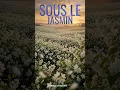 Sous le jasmin