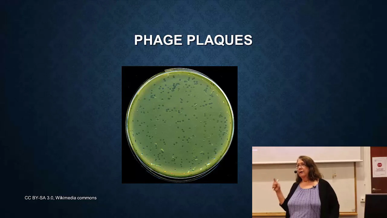 15-Phage: transduction and phage therapy
