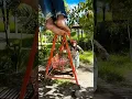 Download Lagu Siapa Yang Gantung diri?... #short #subscribe #funny #trending