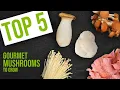 Top 5 Gourmet Mushroom Varieties to Grow GroCycle