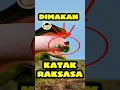 Download Lagu VIRAL‼️KATAK RAKSASA BISA MAKAN ORANG⁉️😨😰😱 #viralvideo #trending #ytshorts #animation