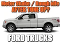 Ford F150 - Motor Shaking Rough Idle After Tune up