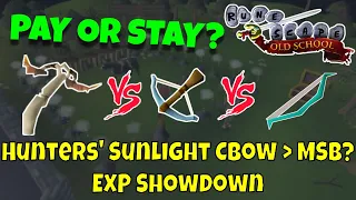 Pay or Stay Hunter s Sunlight CBow vs Rune CBow vs MSB i OSRS NMZ