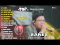 Download Lagu DENNY CAKNAN “SANES” FULL ALBUM TERBARU 2023