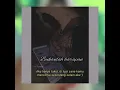 Download Lagu Story wa benci kusangka sayang