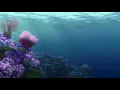 Finding Nemo Credits