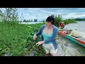 Download Lagu Lợp Cá Thất Thu Sau Một Tuần Không Thăm | TTMT#180 