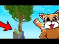 Download Lagu SOBREVIVENDO NA ARVORE DO KIWI EM APENAS UM CHUNK NO MINECRAFT