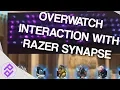 Razer Synapse And Its Interaction With Overwatch