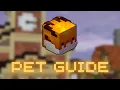 Hypixel Skyblock Comprehensive Pet Guide