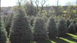 Tree farm east coast usa bucks county craigslist allentown