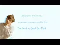 Lagu BTS DNA Lyrics (Han|Rom|Eng) Color Coded