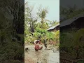 Download Lagu Tommy J Pisa - Kembalikan Hari Indah Kami