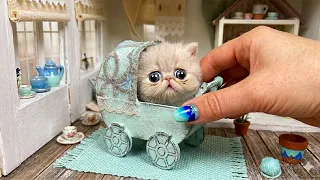 True Story about SMALLEST Kitten in the World! The most amazing house for Pets Ever