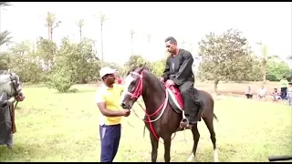 اغنية ياعمنا محمود الليثي مسلسل نسر الصعيد 