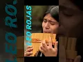 Download Lagu lonely shepherd original | leo rojas | leo rojas der einsame hirte | #viralshorts #leorojas