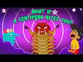 Download Lagu What if a Centipede Bites You? | Are Centipedes Poisonous? | Deadliest Insects | The Dr. Binocs Show