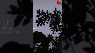 وها القلب الحقار وصلني لصبيطار مقيوسة كومة نهاري ولا ظلمة مرانيش نضوي 