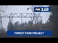 Portland approves new PGE plan to cut trees in Forest Park for power lines