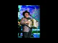 Ramon Ayala – Un Puño de Tierra (letra)