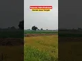 Download Lagu Suasana alam pedesaan di kendal jawa tengah