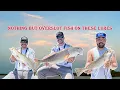 Fishing Inshore With New Salt Strong Shrimp Lure Lure giveaway Crystal River fishing