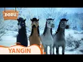 Lagu Yangın | Doru | 22.Bölüm